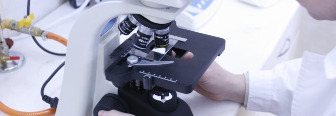 biologie6