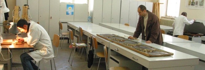 teologie4