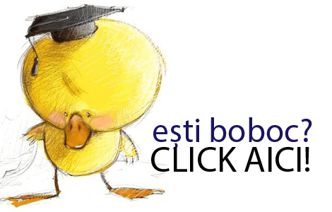 ESTI-BOBOC1[1]