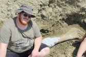 Cercetătorii UAIC au descoperit două noi schelete de proboscidian gigant