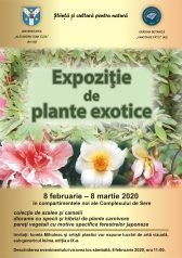 Expoziție de plante exotice la Grădina Botanică